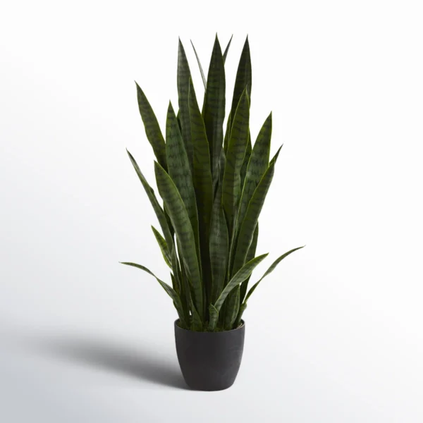 38'' Faux Snake Plant (Sansevieria) Plant in Planter