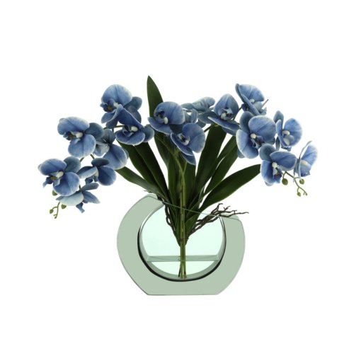 Transitional+Isle+Orchid+Arrangement+in+Vase-97821096 (1)