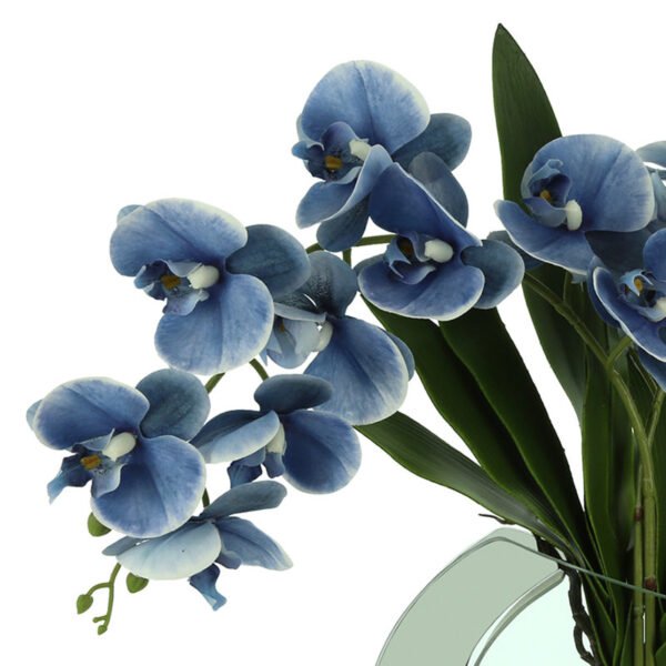 Transitional Isle Orchid Arrangement in Vase - Image 2